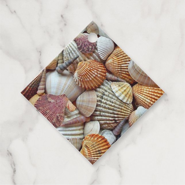 hot looking Sea Shells Favour Tags (Front)