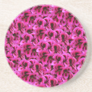Hot Magenta Geranium Flowers, Coaster
