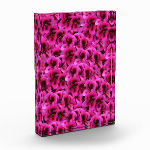 Hot Magenta Geranium Flowers, Photo Block