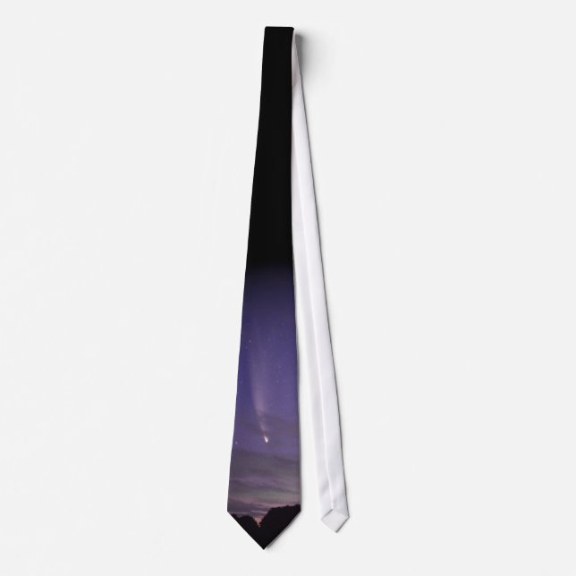 Hot Outside, Cold Inside Tie (Front)