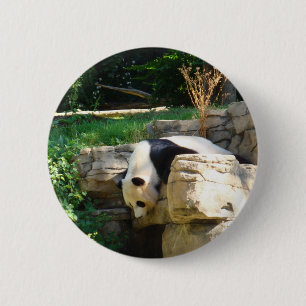 Hot Panda 2 Inch Round Button