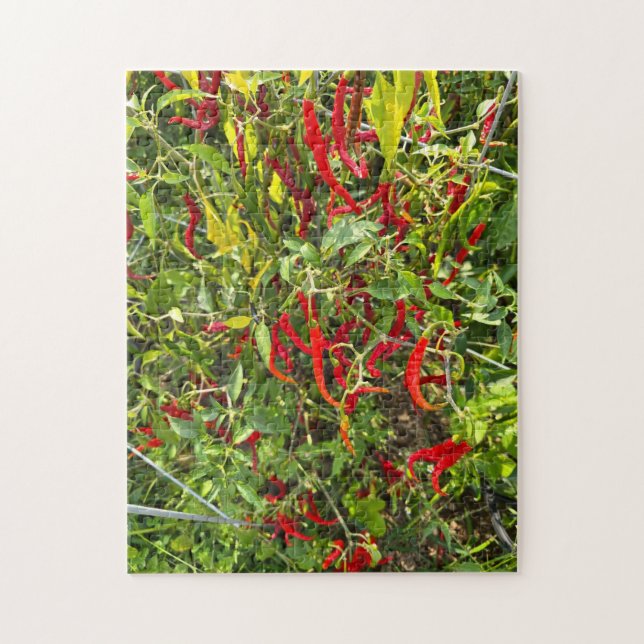 Hot Peppers for Hot Chile! Jigsaw Puzzle (Vertical)