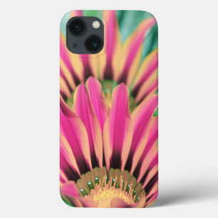 Hot Pink African Daisy iPhone 13 Case