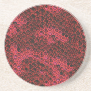 Hot Pink and Black Snake Skin Coaster