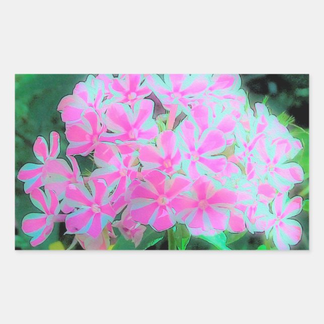 Hot Pink and White Peppermint Twist Garden Phlox Sticker (Front)