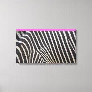hot pink and zebra stripe canvas print
