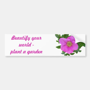 Hot Pink Beach Rose Coordinating Items Bumper Sticker