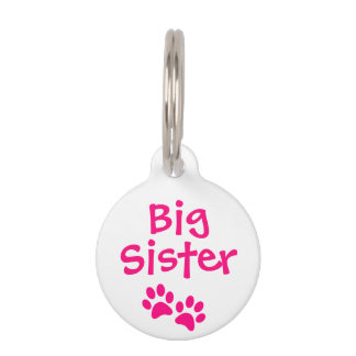 Hot Pink Big Sister Pet Dog Cat Tag