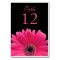 Hot Pink Black Gerber Daisy Wedding