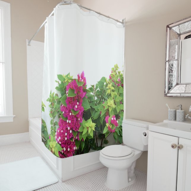 Hot Pink Bougainvillea Flowers (In Situ)