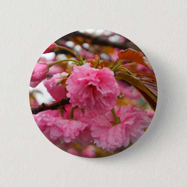 Hot Pink Cherry Blossom Flowers 2 Inch Round Button (Front)