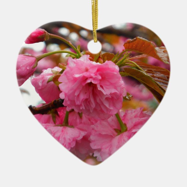 Hot Pink Cherry Blossom Flowers Ceramic Ornament (Front)