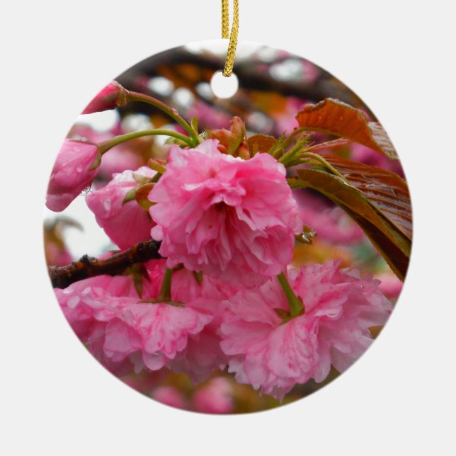 Hot Pink Cherry Blossom Flowers Ceramic Ornament (Front)