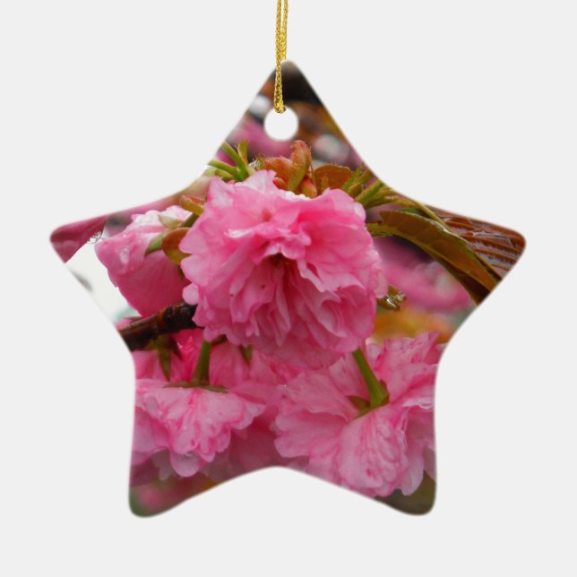 Hot Pink Cherry Blossom Flowers Ceramic Ornament (Front)