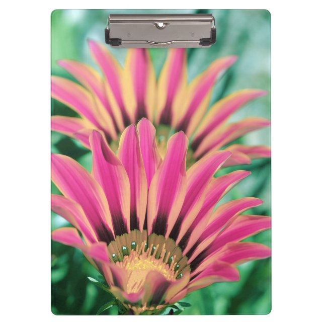 Hot Pink Daisy Clipboard (Front)