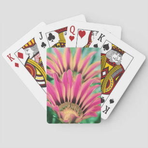 Hot Pink Daisy Petals Playing Cards