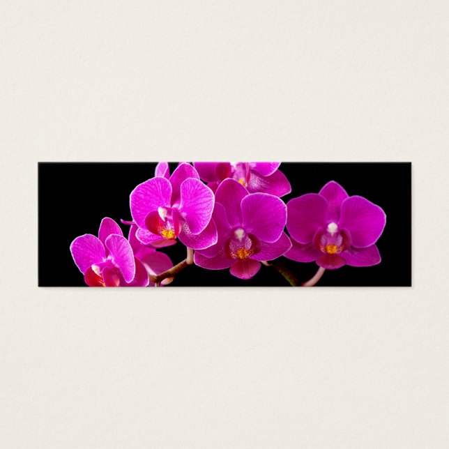Hot Pink Dendrobium Orchid Flower Orchids Template (Front)