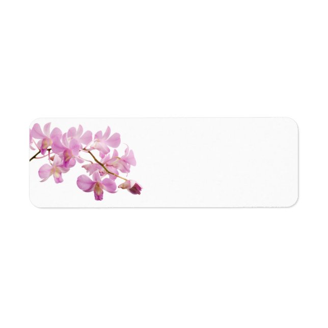 Hot Pink Dendrobium Orchid Flower Orchids Template (Front)