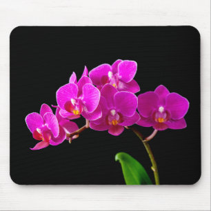 Hot Pink Dendrobium Orchid Flower Orchids Template Mouse Pad