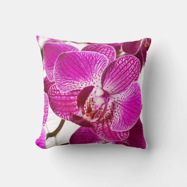 Hot Pink Dendrobium Orchid - Orchids Background Throw Pillow (Front)
