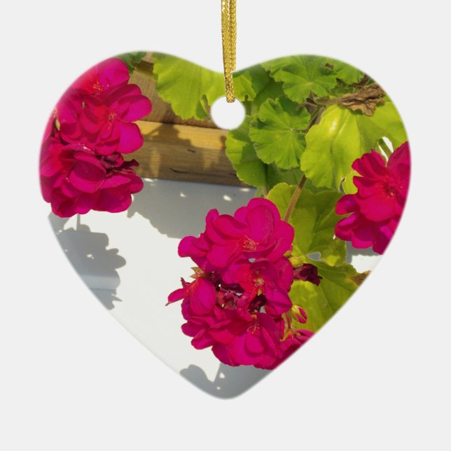 HOt pink floral flowers Pink Geranium Ceramic Ornament (Front)