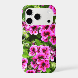Hot Pink Geranium Flowers Growing On A Bush,