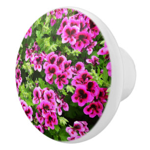 Hot Pink Geranium Flowers Growing On A Bush, Ceramic Knob