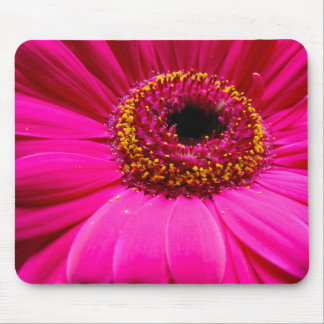 hot pink gerber daisy mouse pad