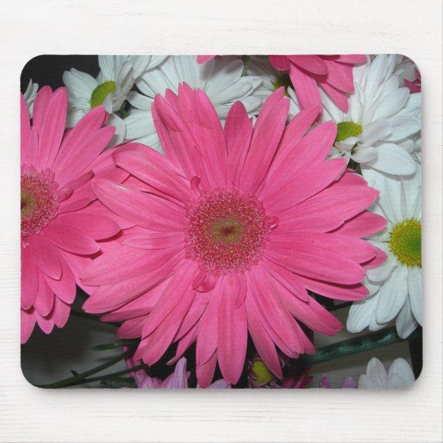 Hot Pink Gerber Daisy Mousepad (Front)
