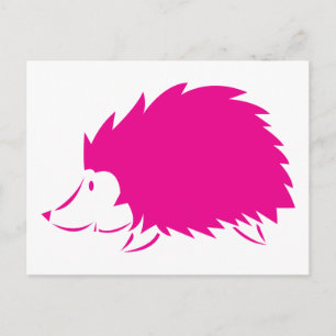 Hot Pink Hedgehog Postcard