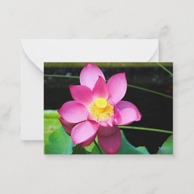 Hot Pink Lotus Flower Card (Front)