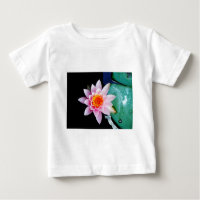 Hot Pink & orange lotus water lily flower