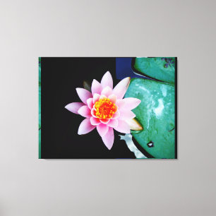Hot Pink & orange lotus water lily flower Canvas Print