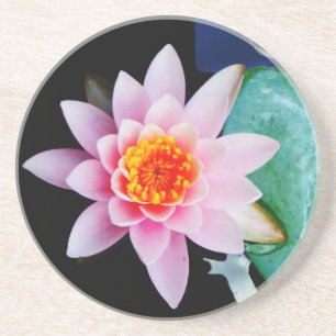 Hot Pink & orange lotus water lily flower Coaster