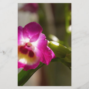 Hot Pink Orchid Stationery