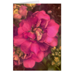 hot pink passion floral (blank inside) card