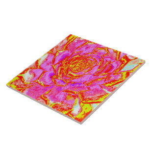 Hot Pink, Red and Yellow Succulent Sedum Rosette Tile