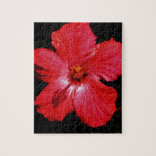 Hot Pink Red Hibiscus flower on Black Jigsaw Puzzle