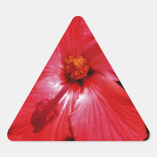 Hot Pink Red Hibiscus flower on Black Triangle Sticker (Front)