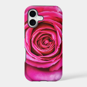 Hot Pink Rose
