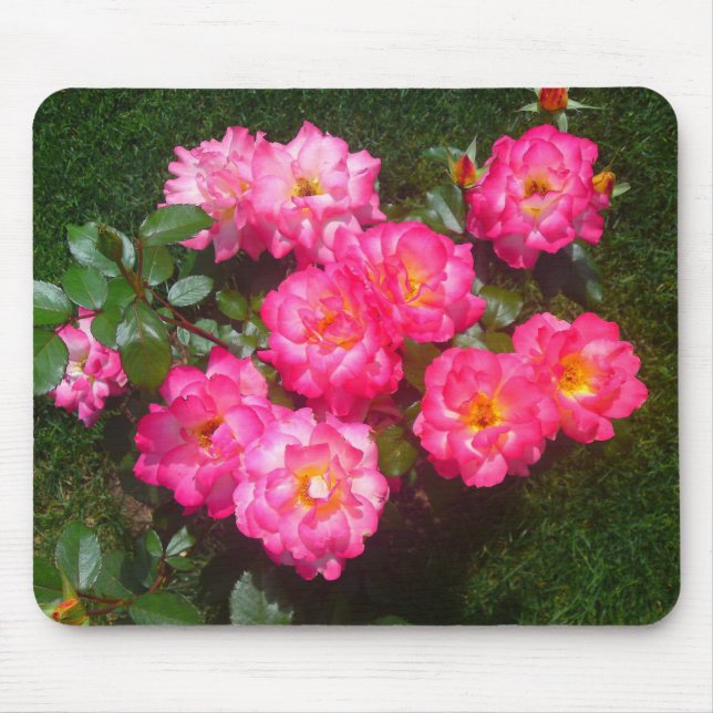 Hot Pink Rose Mousepad (Front)