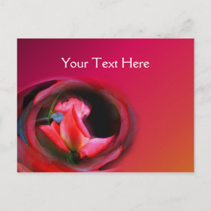 Hot Pink Rosebud Abstract Flower Postcard