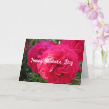 Hot Pink Roses - Personalised Mother's Day Card