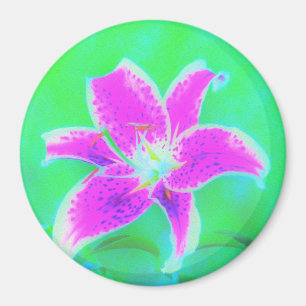 Hot Pink Stargazer Lily on Turquoise and Green Magnet