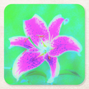Hot Pink Stargazer Lily on Turquoise and Green Square Paper Coaster