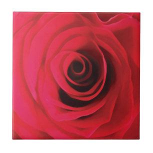Hot red watercolor rose bud detail tile
