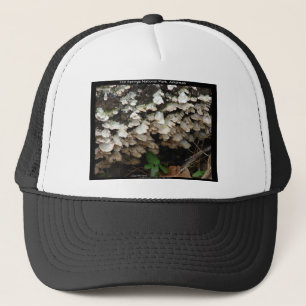 Hot Spings National Park, Arkansas Tree Fungus Trucker Hat