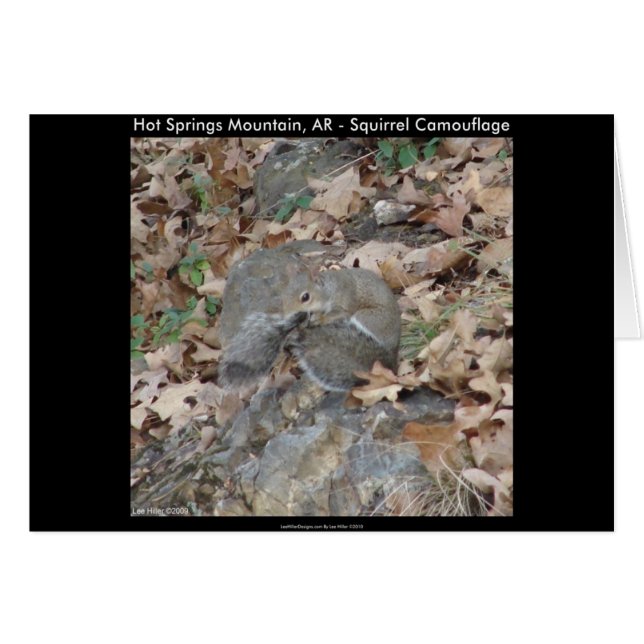 Hot Springs Mountain, AR Squirrel Camouflage Gifts (Front Horizontal)