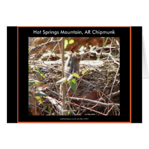 Hot Springs Mountain, Arkansas Chipmunk Gifts
