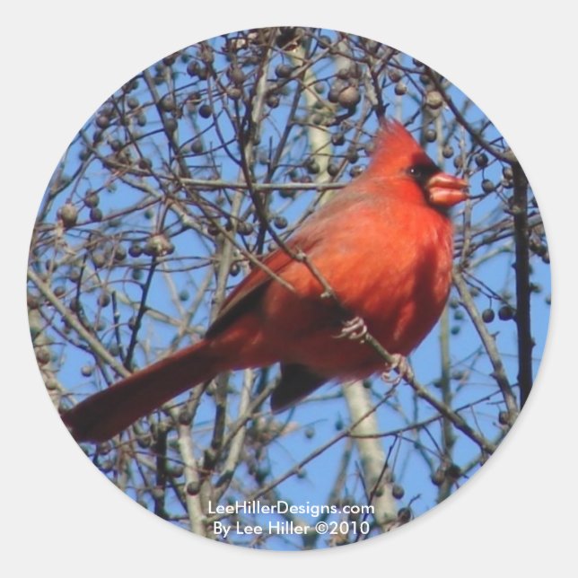 Hot Springs Mountain Promenade  Cardinal Gifts Classic Round Sticker (Front)